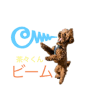 茶々くんスタンプ2でたよ（個別スタンプ：5）