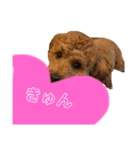 茶々くんスタンプ2でたよ（個別スタンプ：6）