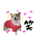 れんくん❤︎（個別スタンプ：13）