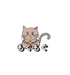 まるネコ 1（個別スタンプ：1）