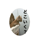 こねスタ3（個別スタンプ：3）