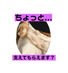 こねスタ3（個別スタンプ：6）