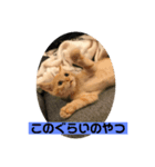 こねスタ3（個別スタンプ：7）