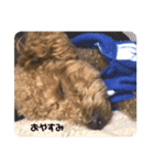 うちのおみ2（個別スタンプ：15）