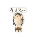 かっぱくんとともだち（個別スタンプ：40）
