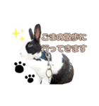 ごまっちゃんスタンプ〜たまにちゅんこ〜（個別スタンプ：4）