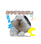 ごまっちゃんスタンプ〜たまにちゅんこ〜（個別スタンプ：6）