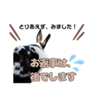 ごまっちゃんスタンプ〜たまにちゅんこ〜（個別スタンプ：12）
