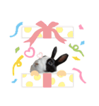 ごまっちゃんスタンプ〜たまにちゅんこ〜（個別スタンプ：31）