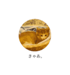 さぶろうだぞう（個別スタンプ：4）