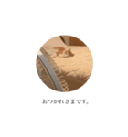 さぶろうだぞう（個別スタンプ：8）