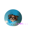 あずきなこもか（個別スタンプ：4）