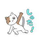 生活する、にゃほ氏（個別スタンプ：4）