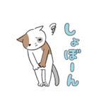 生活する、にゃほ氏（個別スタンプ：20）