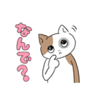 生活する、にゃほ氏（個別スタンプ：28）