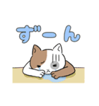 生活する、にゃほ氏（個別スタンプ：31）
