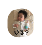 riku noshin8（個別スタンプ：16）