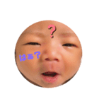 ohkun4（個別スタンプ：16）