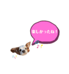 キャバリア★しずくのスタンプ2（個別スタンプ：33）