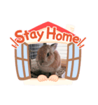 まかろにあスタンプ2（個別スタンプ：5）