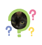 はくもか（個別スタンプ：2）