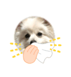 はくもか（個別スタンプ：3）