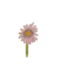 イラスト集 sparkle（個別スタンプ：23）