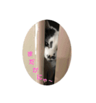 まくら時々ふとん（個別スタンプ：7）