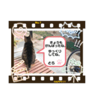 とらとぎん猫の日常（個別スタンプ：7）