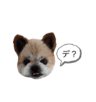 こじさんスタンプ1（個別スタンプ：18）