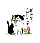 ボス猫「たま」のスタンプ（個別スタンプ：17）