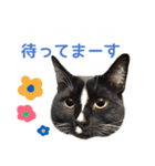 きなこ＆あんこスタンプ（個別スタンプ：6）