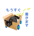 きなこ＆あんこスタンプ（個別スタンプ：16）