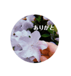 この世は美しいスタンプ（個別スタンプ：3）