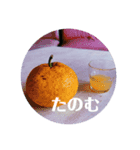 この世は美しいスタンプ（個別スタンプ：4）