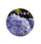 この世は美しいスタンプ（個別スタンプ：8）
