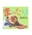うちのげんたん.（個別スタンプ：15）