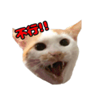 We Love 虎哥（個別スタンプ：6）