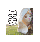 We Love 虎哥（個別スタンプ：9）