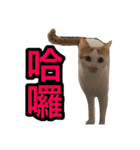 We Love 虎哥（個別スタンプ：11）