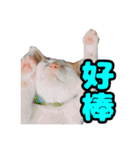 We Love 虎哥（個別スタンプ：15）