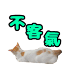 We Love 虎哥（個別スタンプ：19）