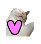 We Love 虎哥（個別スタンプ：31）