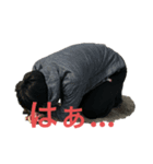 あー、もうめちゃくちゃだよ（個別スタンプ：5）