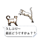 さらに自由に使える吹き出し大好き猫（個別スタンプ：5）