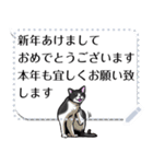 さらに自由に使える吹き出し大好き猫（個別スタンプ：15）