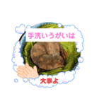 猫のプッチとみかん元気かな（個別スタンプ：5）