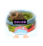 猫のプッチとみかん元気かな（個別スタンプ：7）
