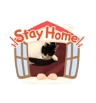 猫のプッチとみかん元気かな（個別スタンプ：9）