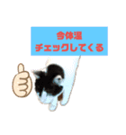猫のプッチとみかん元気かな（個別スタンプ：16）